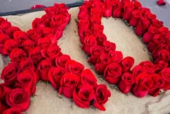 Love You Like XO 8 Love You Like XO -Flower Gift Shop loveyoulikexo1