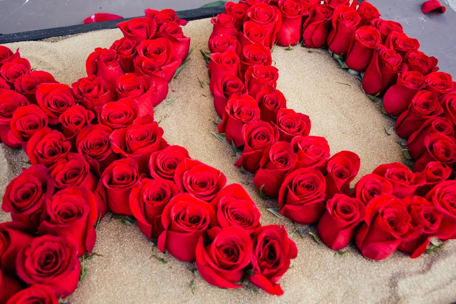 Love You Like XO 5 Love You Like XO - Image 3