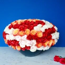 Sunrise And Stardust