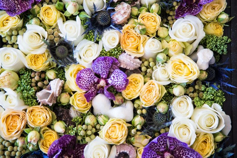 The Moonlit Garden 6 The Moonlit Garden - Image 4