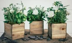 Micro Garden -Flower Gift Shop microgarden2