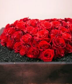 Midnight Hour -Flower Gift Shop midnighthour1