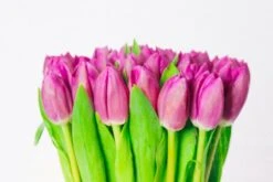 The Magenta Moss Morning -Flower Gift Shop mm050916 1 1