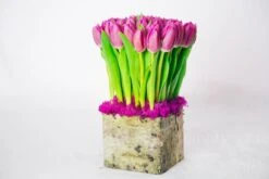 The Magenta Moss Morning -Flower Gift Shop mm050916 2