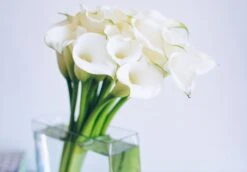 The Broad -Flower Gift Shop modern 11