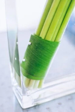 The Broad -Flower Gift Shop modern 4