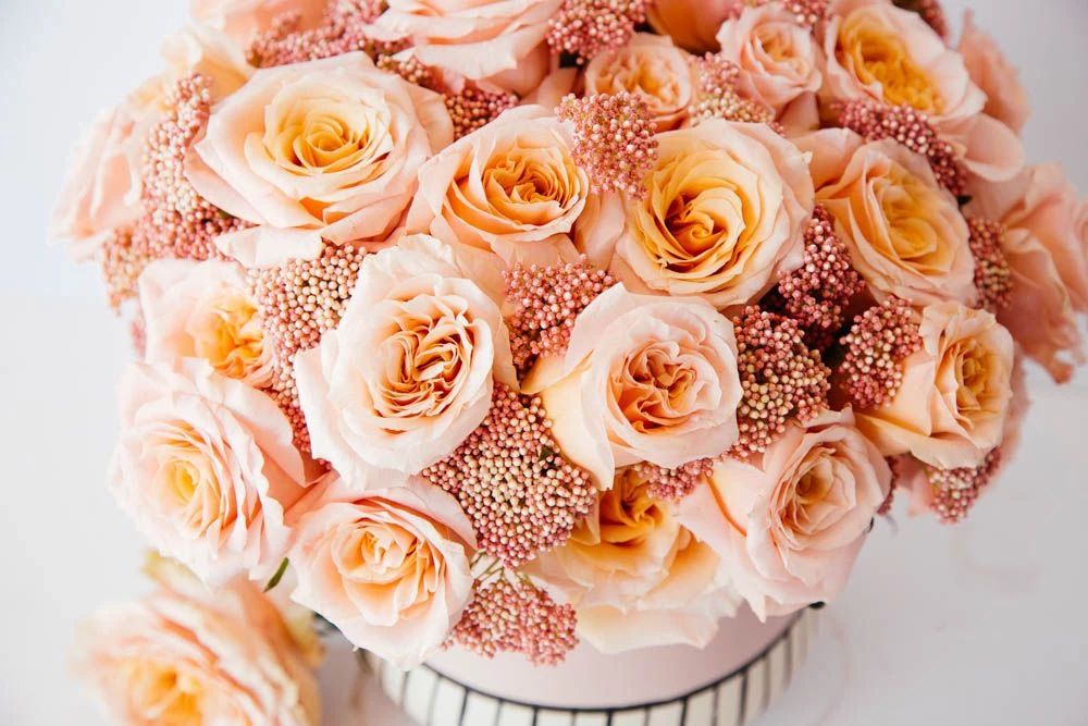 Moonbeam Spring 4 Moonbeam Spring - Image 2