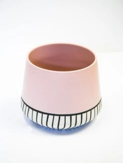 Moonbeam Spring 9 Moonbeam Spring -Flower Gift Shop moonbeamspring2