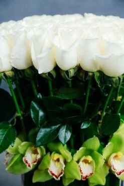 Moon Over Kyoto 9 Moon Over Kyoto -Flower Gift Shop moonoverkyoto2