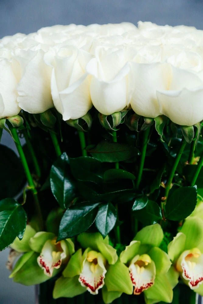 Moon Over Kyoto 6 Moon Over Kyoto - Image 4