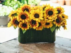 Little Miss Sunshine -Flower Gift Shop ms060716 3 1