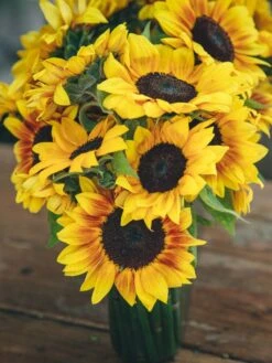 Little Miss Sunshine -Flower Gift Shop ms060716 5