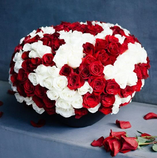 Noir Queen 4 Noir Queen - Image 2