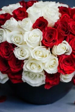 Noir Queen 8 Noir Queen -Flower Gift Shop noirqueen1