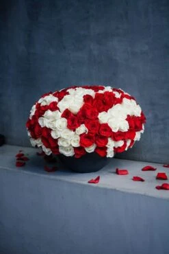 Noir Queen 9 Noir Queen -Flower Gift Shop noirqueen2