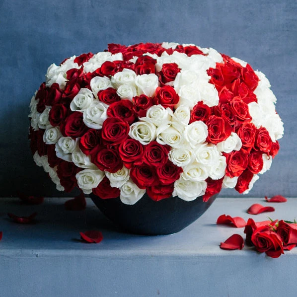 Noir Queen 3 Noir Queen