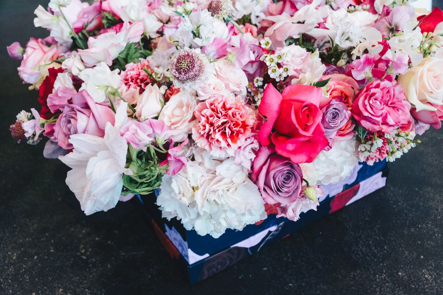 Oh It's Magic! 5 Oh It's Magic! - Image 3