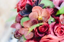 Quarter-Moon -Flower Gift Shop orchid rose pumpkin 2 of 8