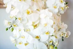 Orchid Ikebana -Flower Gift Shop orchidkebana2