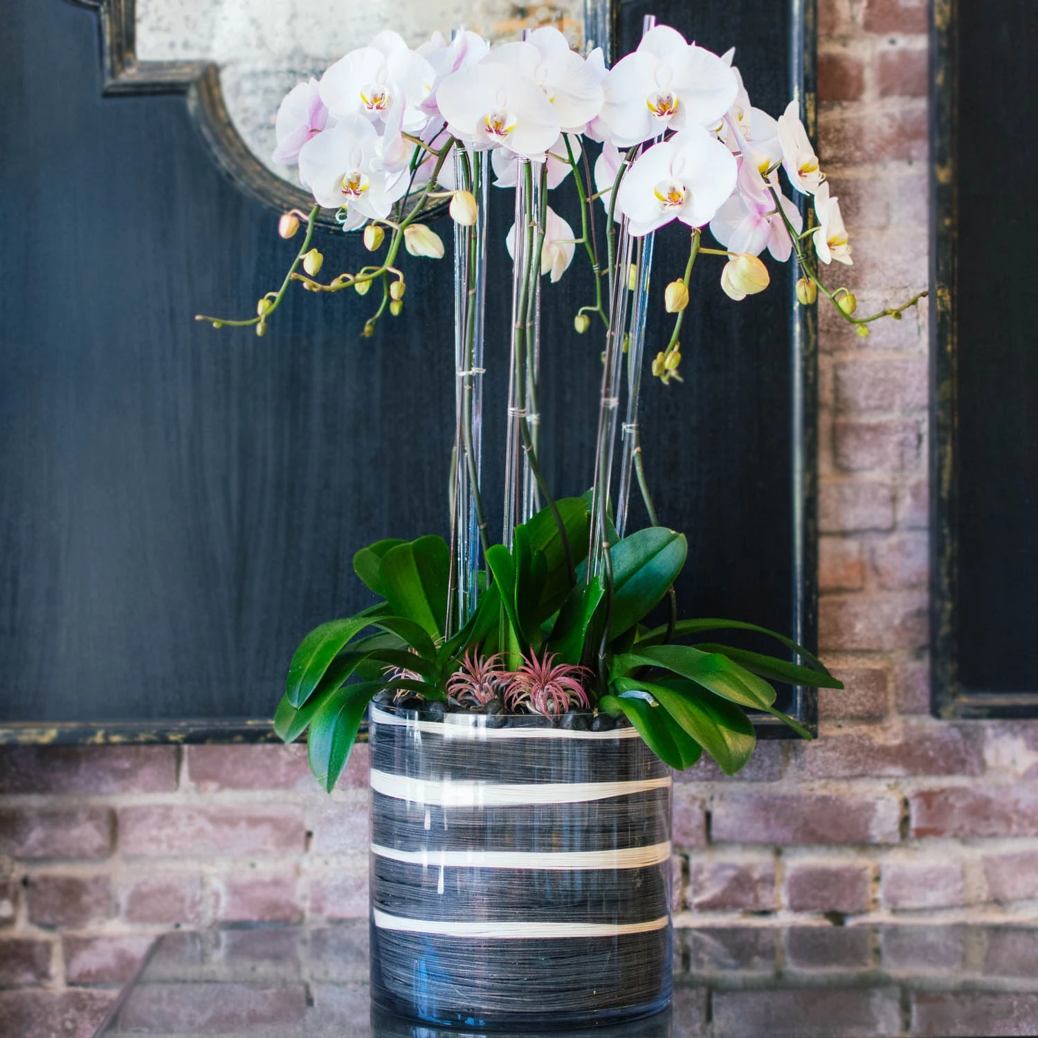 Subtle Elegance 3 Subtle Elegance