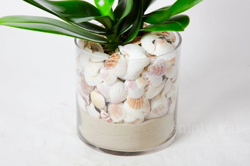 Orchid Waterfront 4 Orchid Waterfront - Image 2