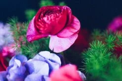 Romance In Bloom -Flower Gift Shop os012617 22