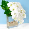 White Orchid Waterfalls 2 White Orchid Waterfalls -Flower Gift Shop ow051616 1 1