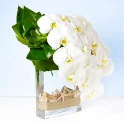 White Orchid Waterfalls -Flower Gift Shop ow051616 1 2
