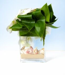 White Orchid Waterfalls -Flower Gift Shop ow051616 3
