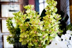 Pale Morning Mist -Flower Gift Shop palemorningmist1