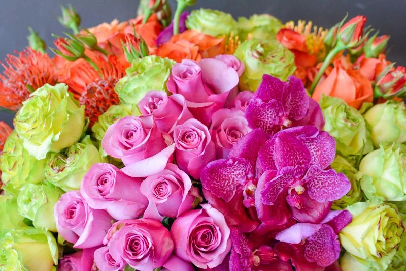 The Prismatic Delight 5 The Prismatic Delight - Image 3