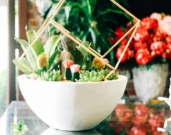 Peace In The Desert 8 Peace In The Desert -Flower Gift Shop peaceinthedesert