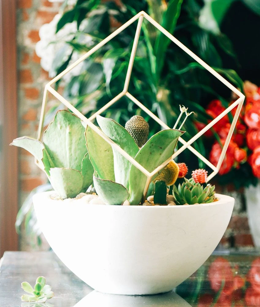 Peace In The Desert 4 Peace In The Desert - Image 2