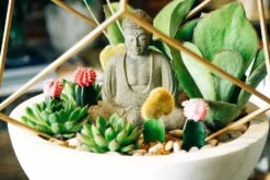 Peace In The Desert 9 Peace In The Desert -Flower Gift Shop peaceinthedesert2