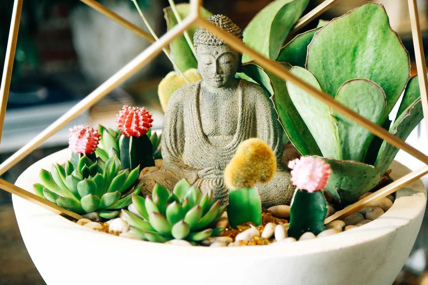 Peace In The Desert 6 Peace In The Desert - Image 4