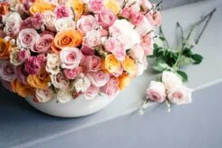 Peach Castle 8 Peach Castle -Flower Gift Shop peachcastle