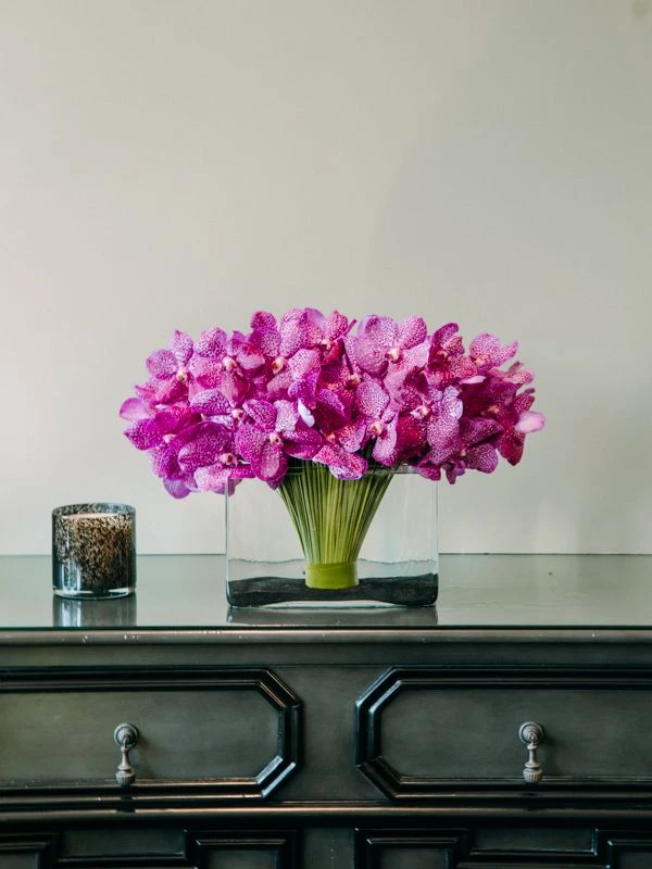 The Playa Jardin 6 The Playa Jardin - Image 4