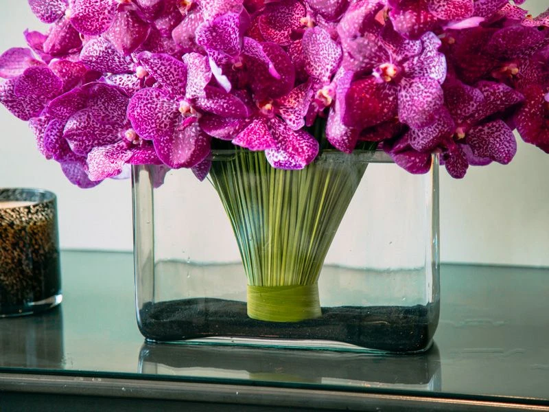 The Playa Jardin 4 The Playa Jardin - Image 2