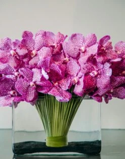 The Playa Jardin 11 The Playa Jardin -Flower Gift Shop pj071216 3