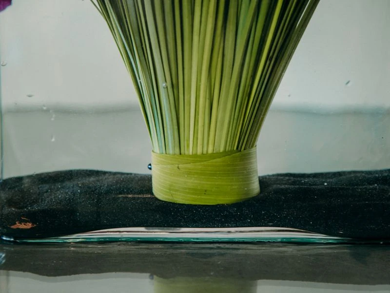 The Playa Jardin 5 The Playa Jardin - Image 3