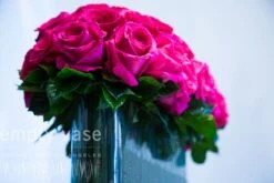 Too Pretty In Pink -Flower Gift Shop pp116151 3