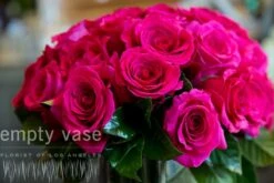 Too Pretty In Pink -Flower Gift Shop pp116151 1