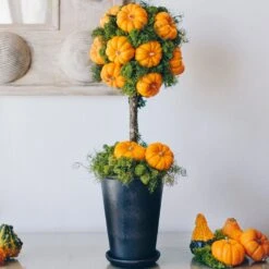 Classic Pumpkin Tree