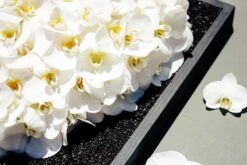 Pure Of Heart -Flower Gift Shop pureofheart1