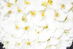 Pure Of Heart -Flower Gift Shop pureofheart2