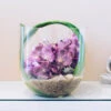 Magenta Oasis 2 Magenta Oasis -Flower Gift Shop purple terrarium 4 of 5 1
