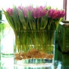 Purple Tulip Arrangement -Flower Gift Shop purple tuli ps