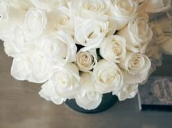 The Rose Dove 9 The Rose Dove -Flower Gift Shop rd072016 4