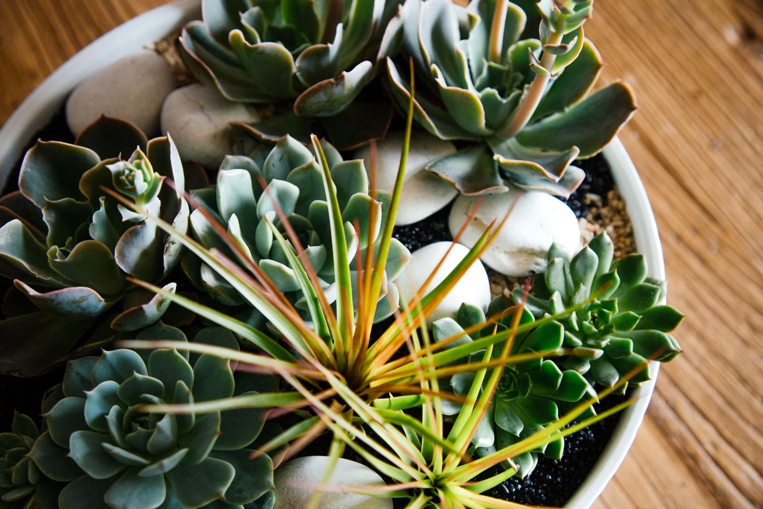 Riverbed Zen 4 Riverbed Zen - Image 2