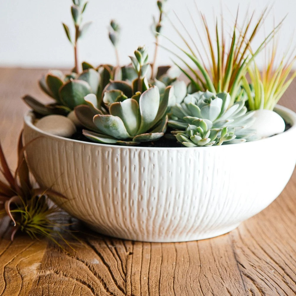 Riverbed Zen 5 Riverbed Zen - Image 3